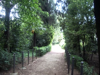 laghetto cittadino